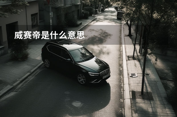 威赛帝是什么意思