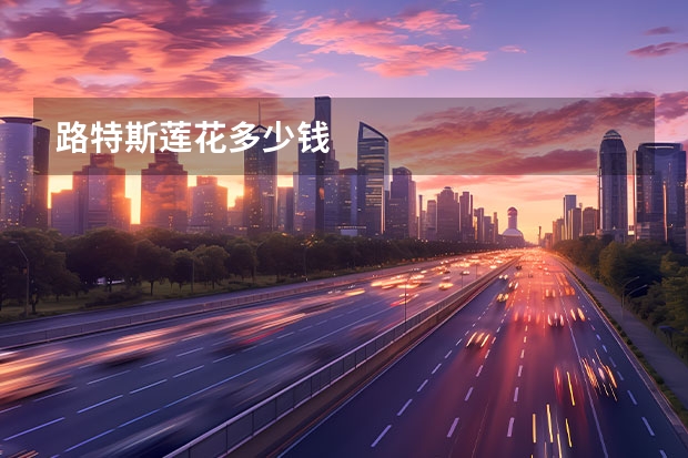 路特斯莲花多少钱