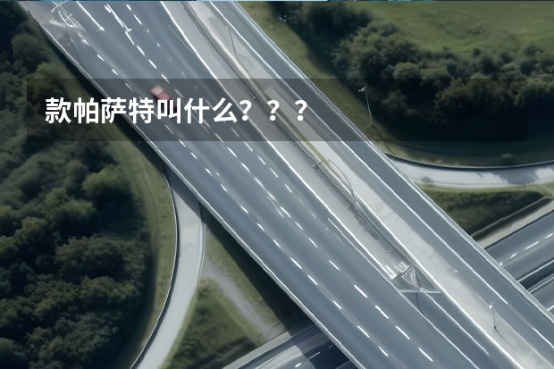 款帕萨特叫什么？？？