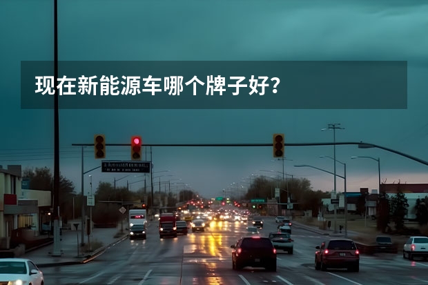 现在新能源车哪个牌子好？