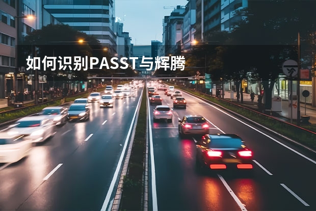 如何识别PASST与辉腾