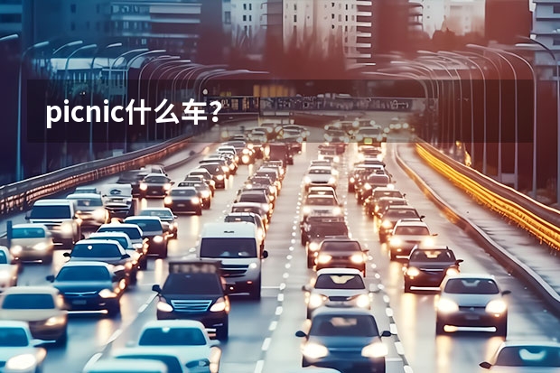 picnic什么车？