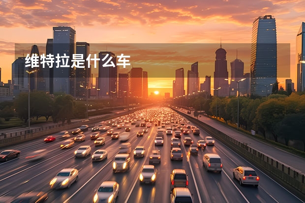维特拉是什么车