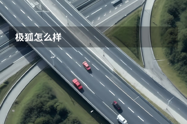 极狐怎么样