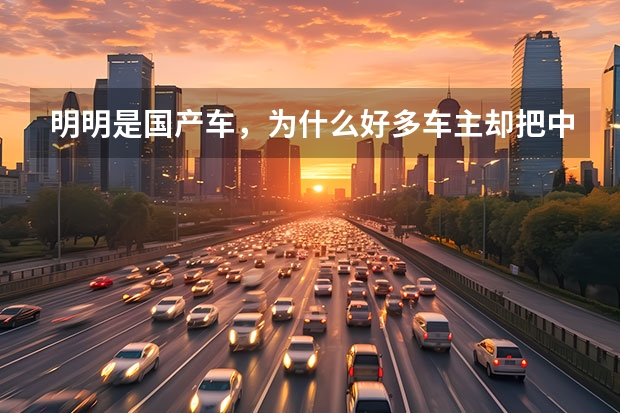 明明是国产车，为什么好多车主却把中文标识改成英文？