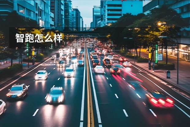 智跑怎么样
