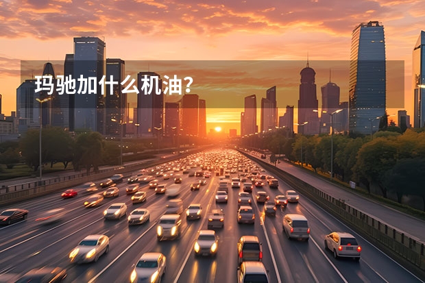 玛驰加什么机油？