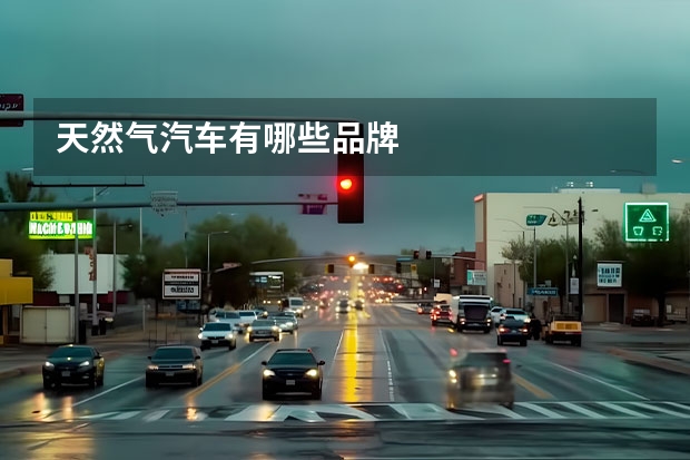 天然气汽车有哪些品牌