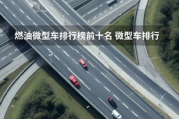 燃油微型车排行榜前十名 微型车排行榜