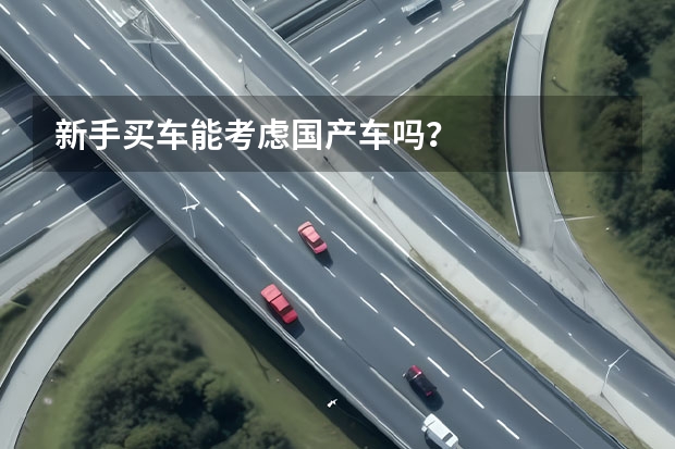 新手买车能考虑国产车吗？